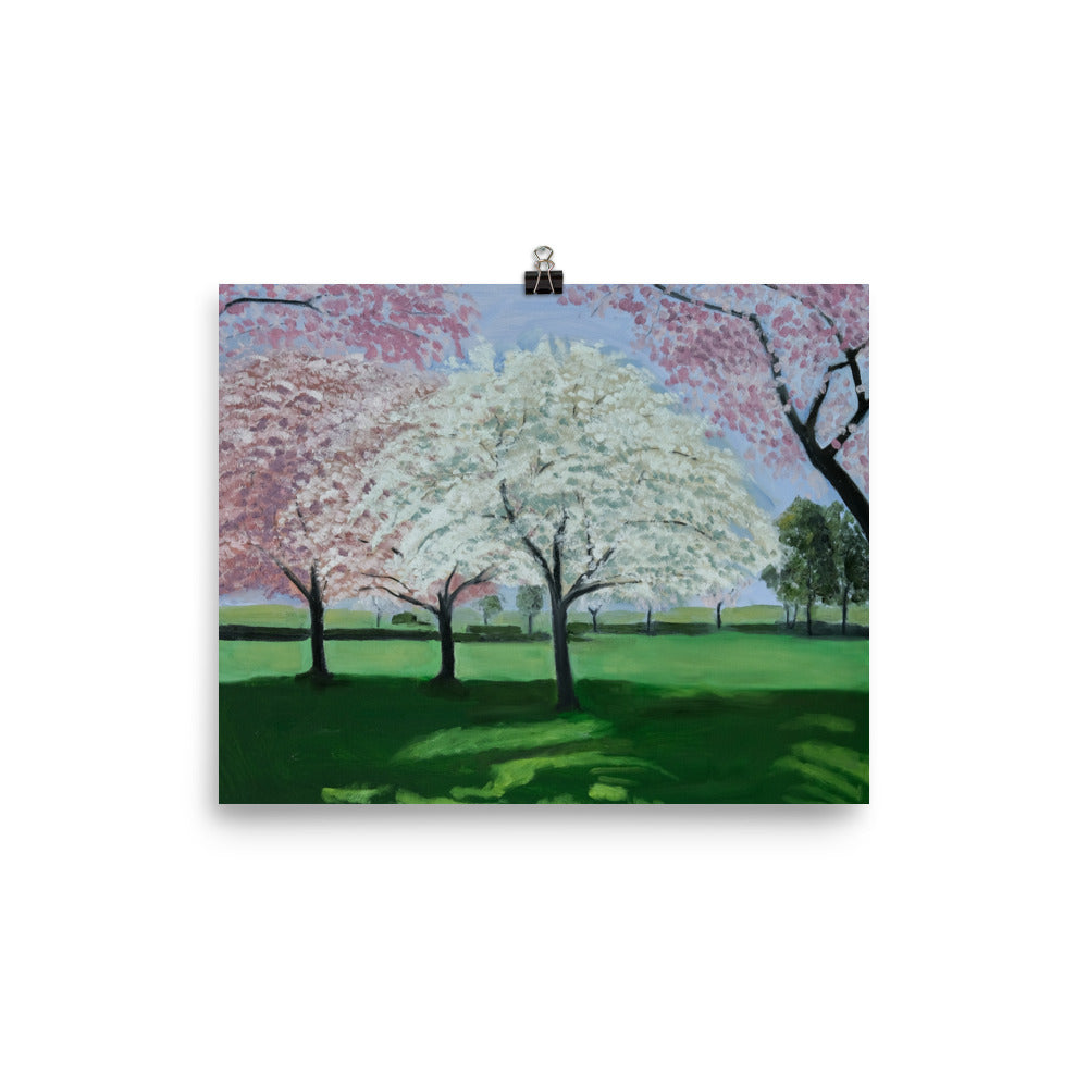 Landscape 33