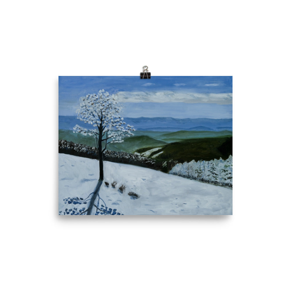 Landscape 34