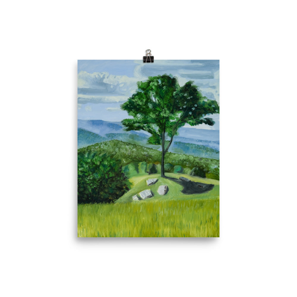 Landscape 36