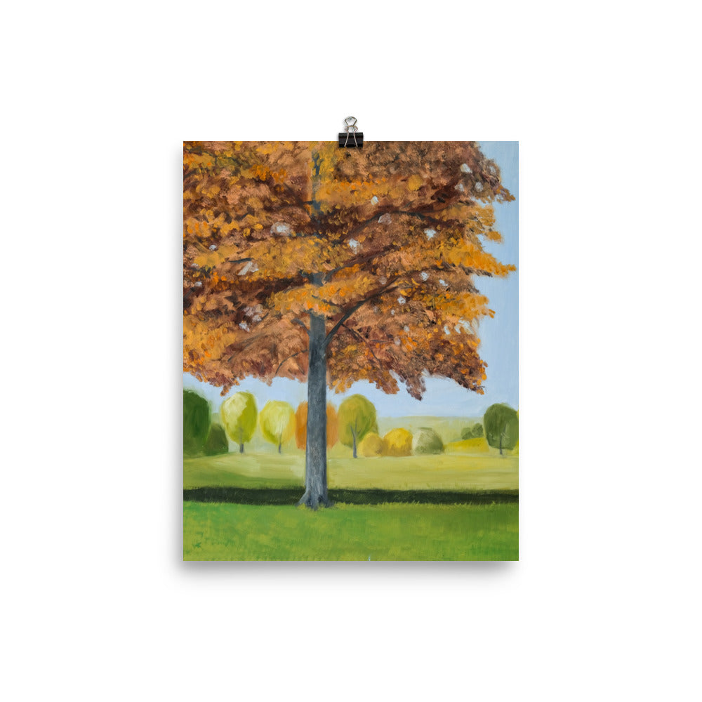 Landscape 41