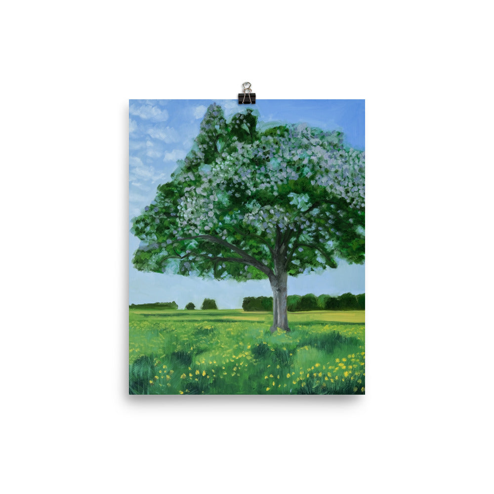 Landscape 42