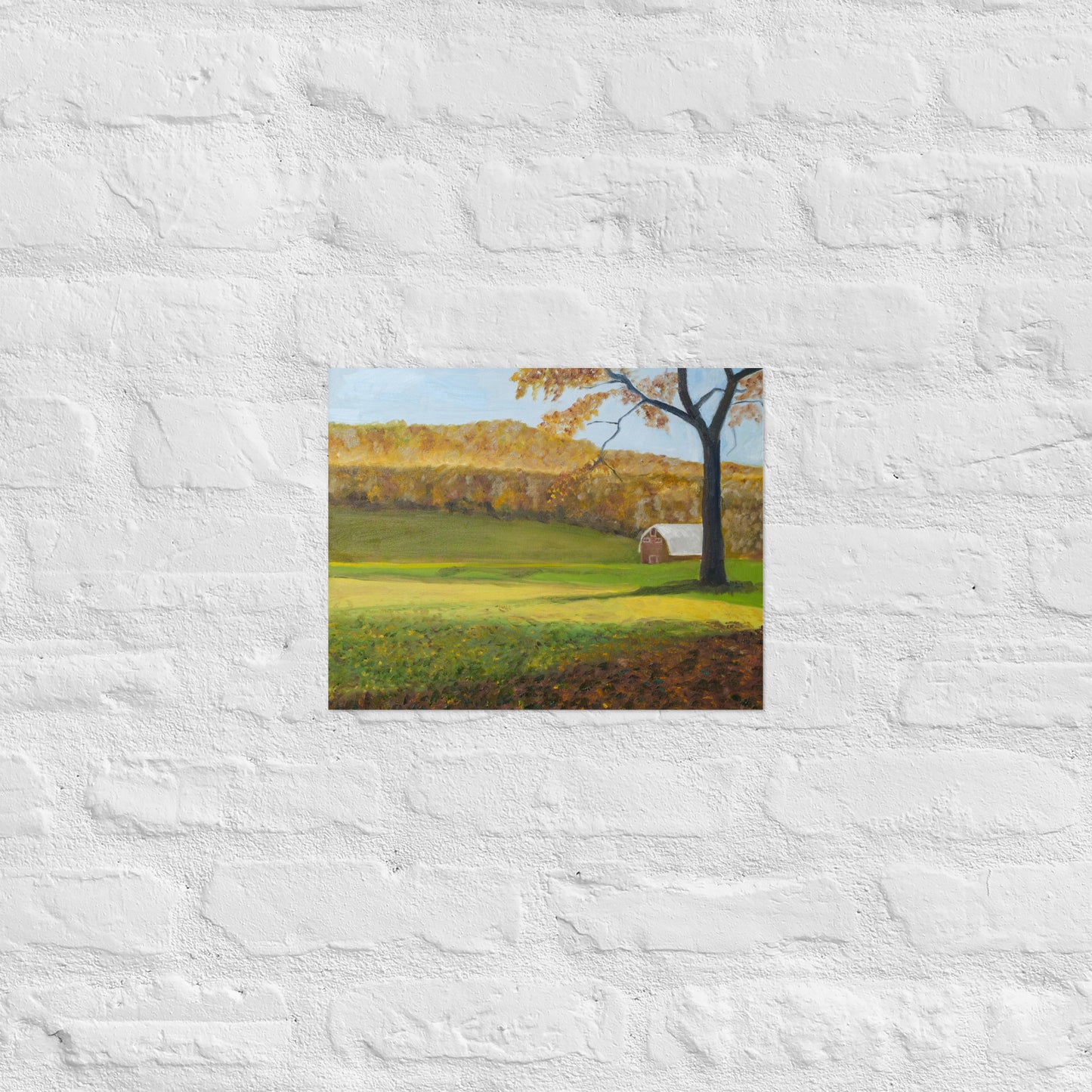 Field and barn