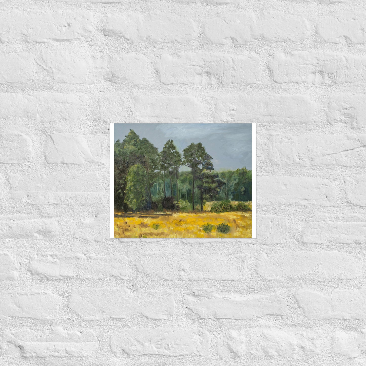 Trees in middleground