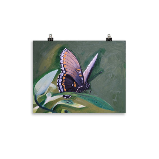 Monarch butterfly