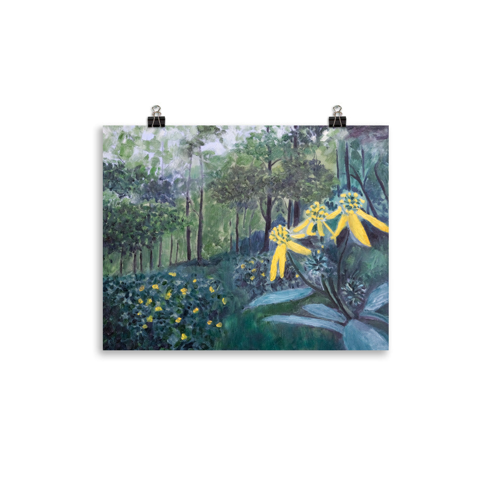 Flower in forest