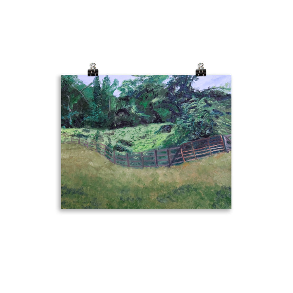 Field and pasture