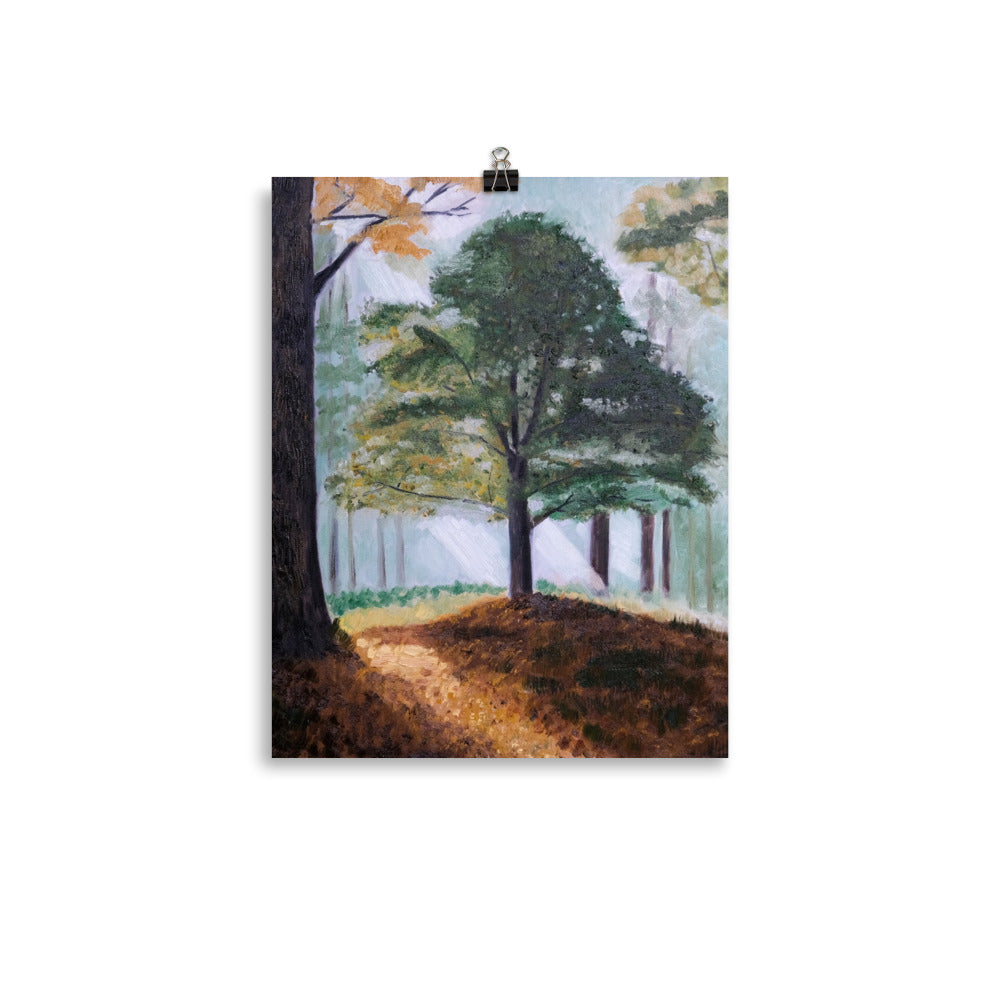 Hickory tree
