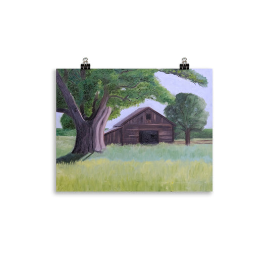 Oak tree and barn