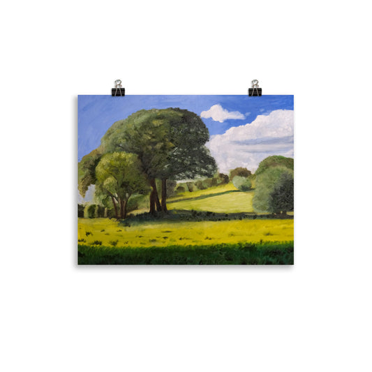 Trees in field