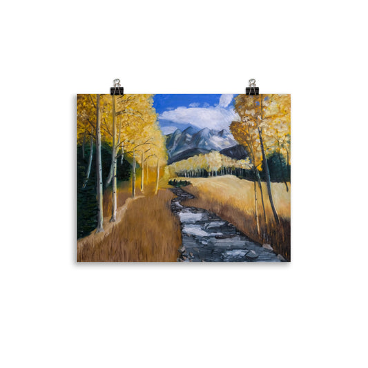 Stream and aspen trees