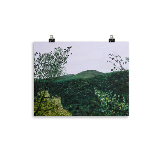 Mountain view