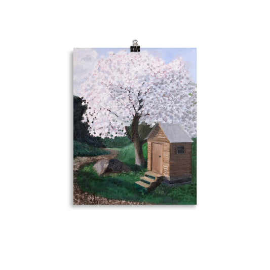 Cherry tree and outhouse
