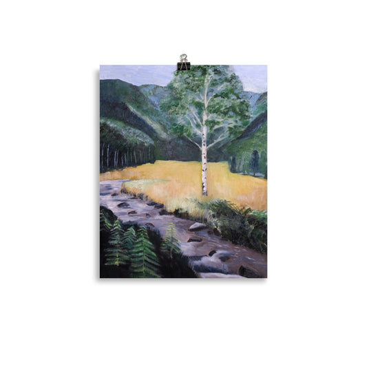 Birch tree and stream