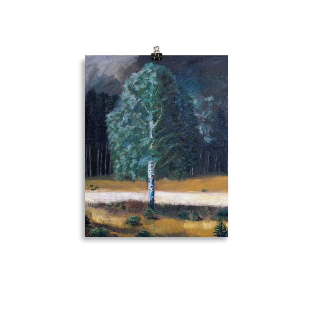 Birch tree