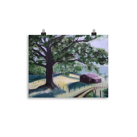 Oak tree and barn