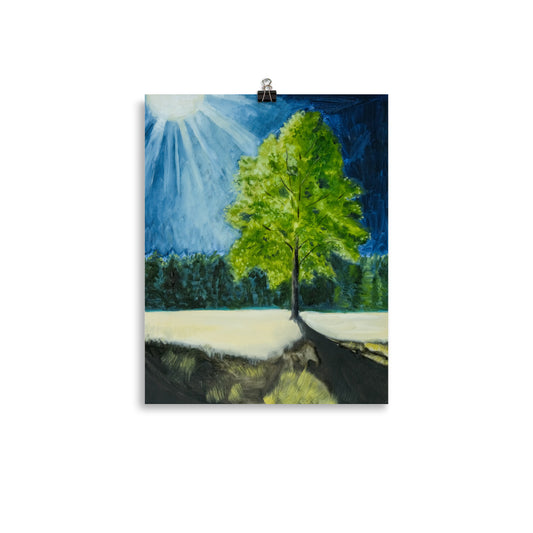 Landscape 5