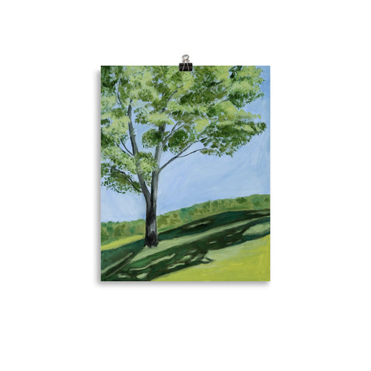 Landscape 10