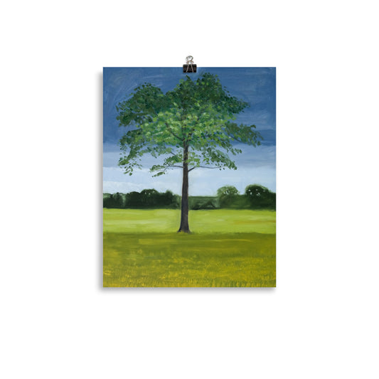 Landscape 12