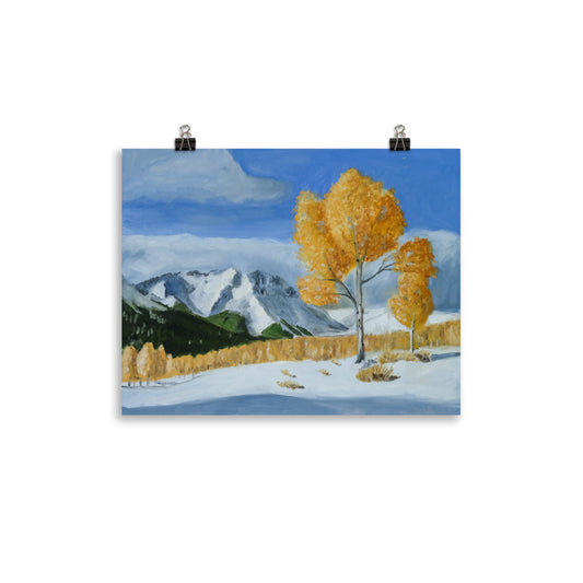 Landscape 13