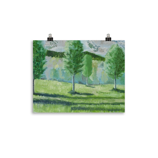 Landscape 16