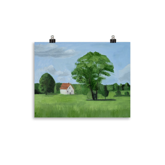 Landscape 17