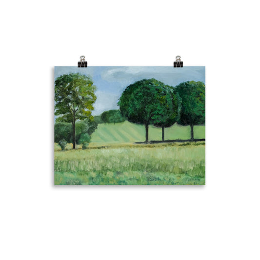 Landscape 18