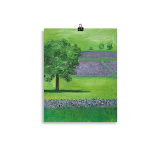 Landscape 19