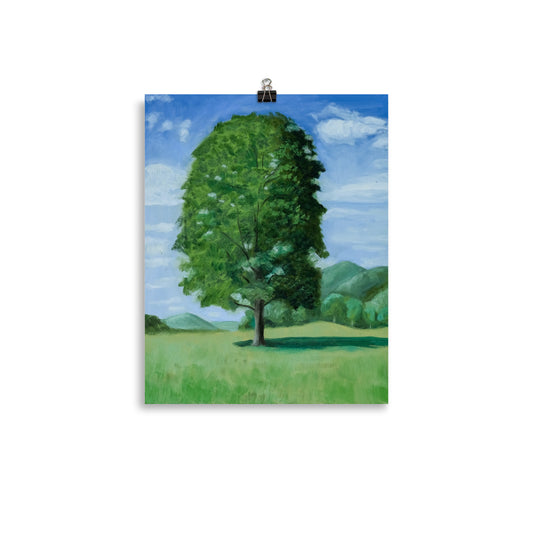Landscape 20