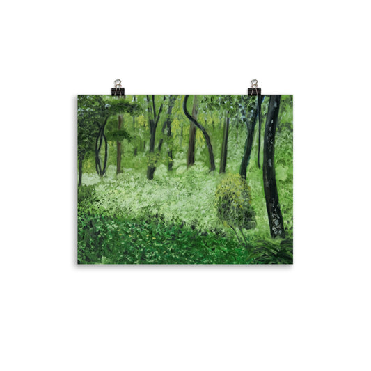 Landscape 24