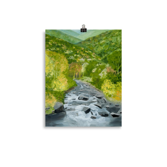 Landscape 25