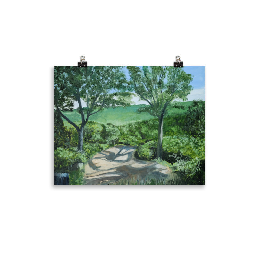 Landscape 27