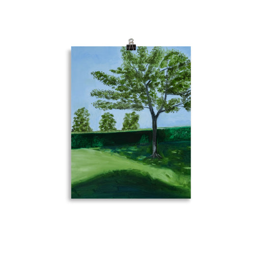 Landscape 28