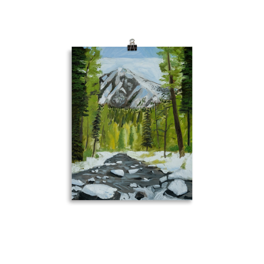 Landscape 29