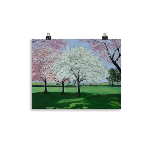 Landscape 33