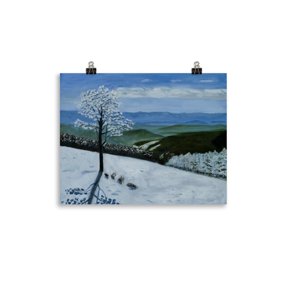 Landscape 34