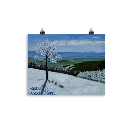 Landscape 34