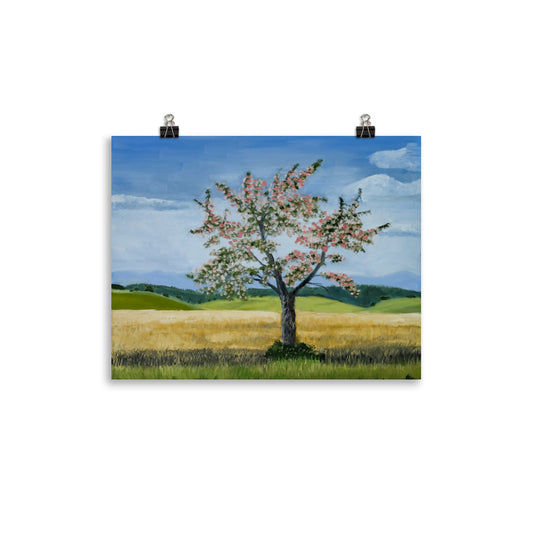 Landscape 38