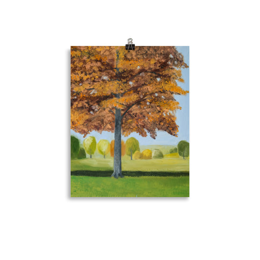 Landscape 41