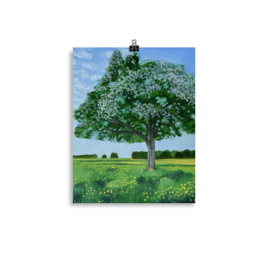 Landscape 42