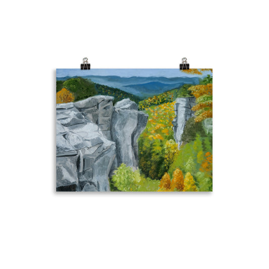 Landscape 43