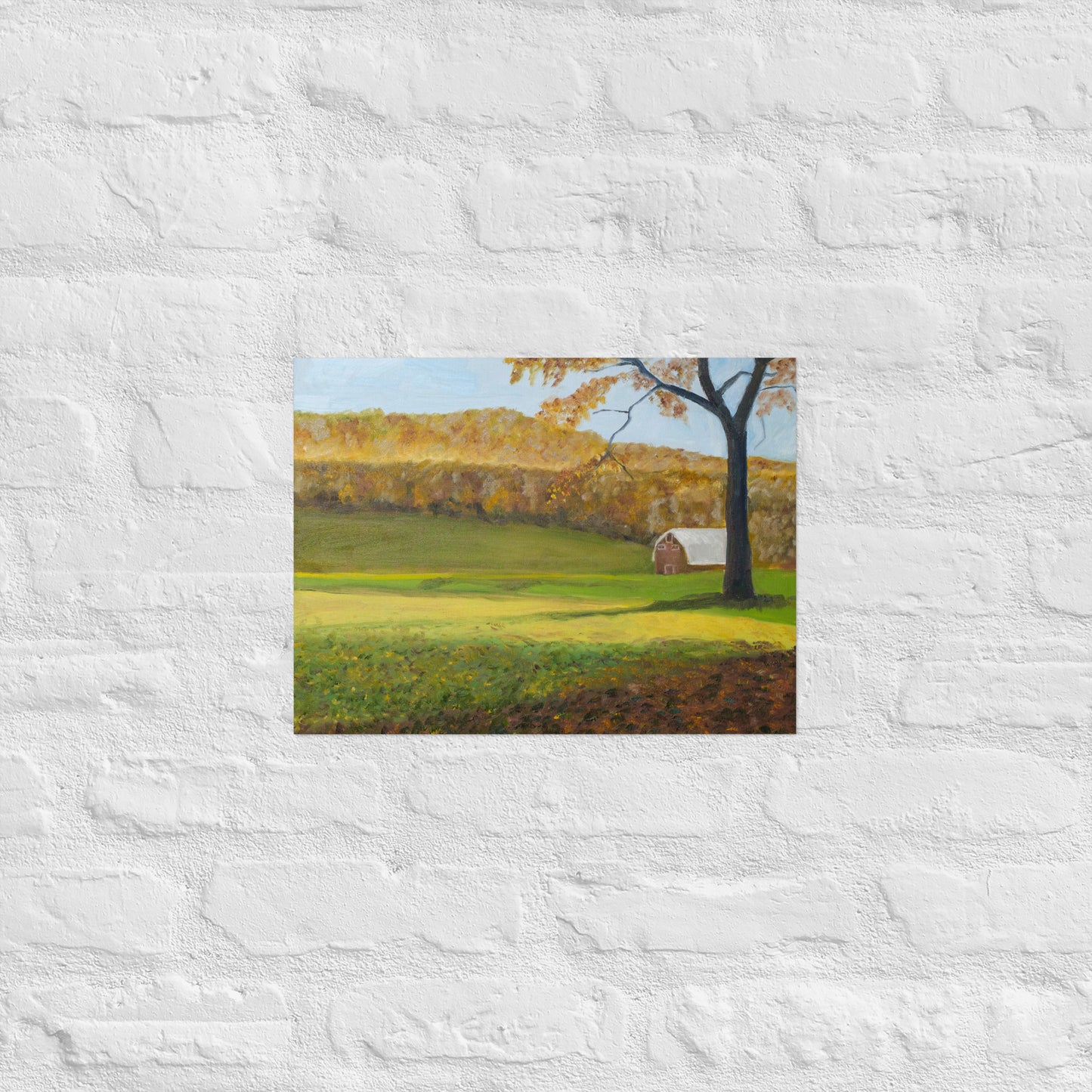 Field and barn