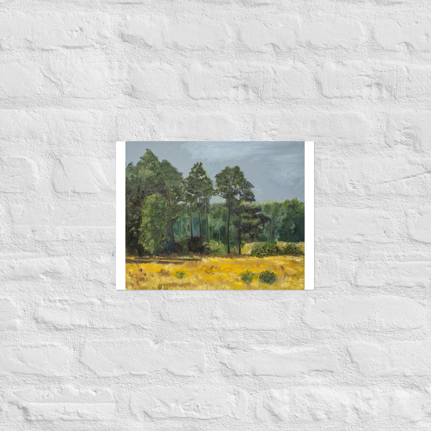Trees in middleground
