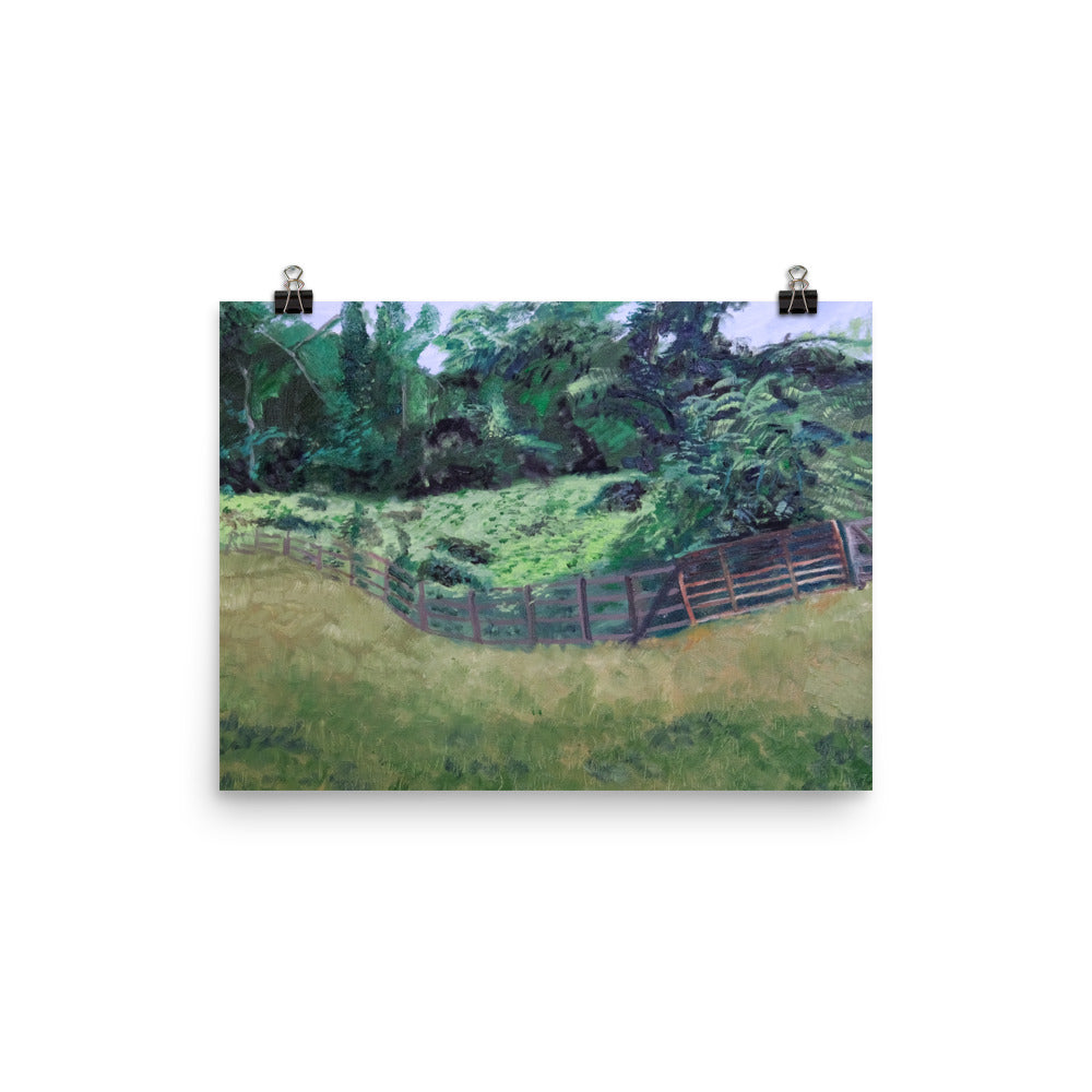 Field and pasture