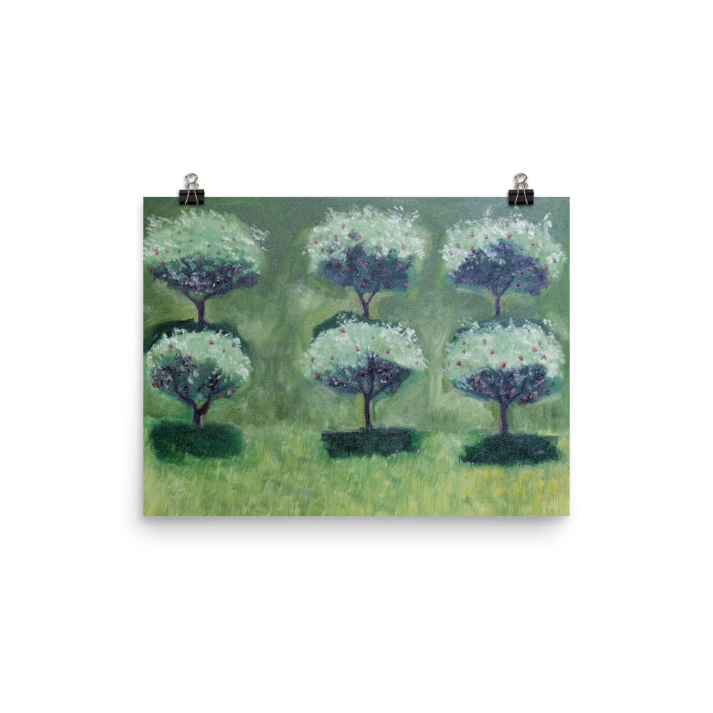 Apple trees