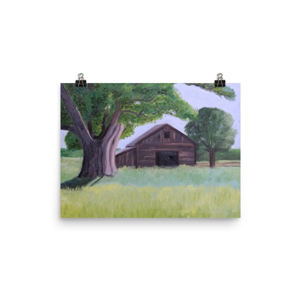 Oak tree and barn