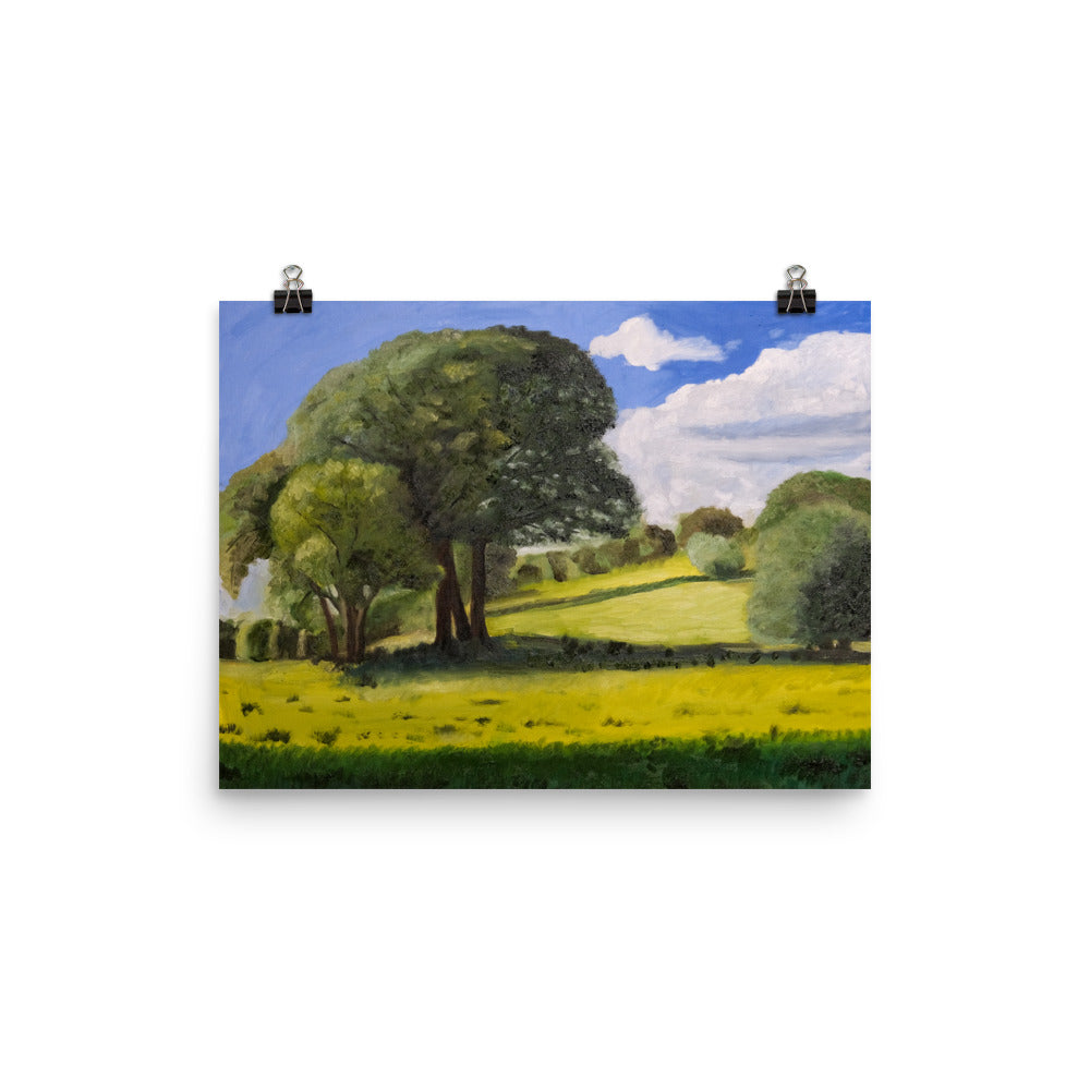 Trees in field