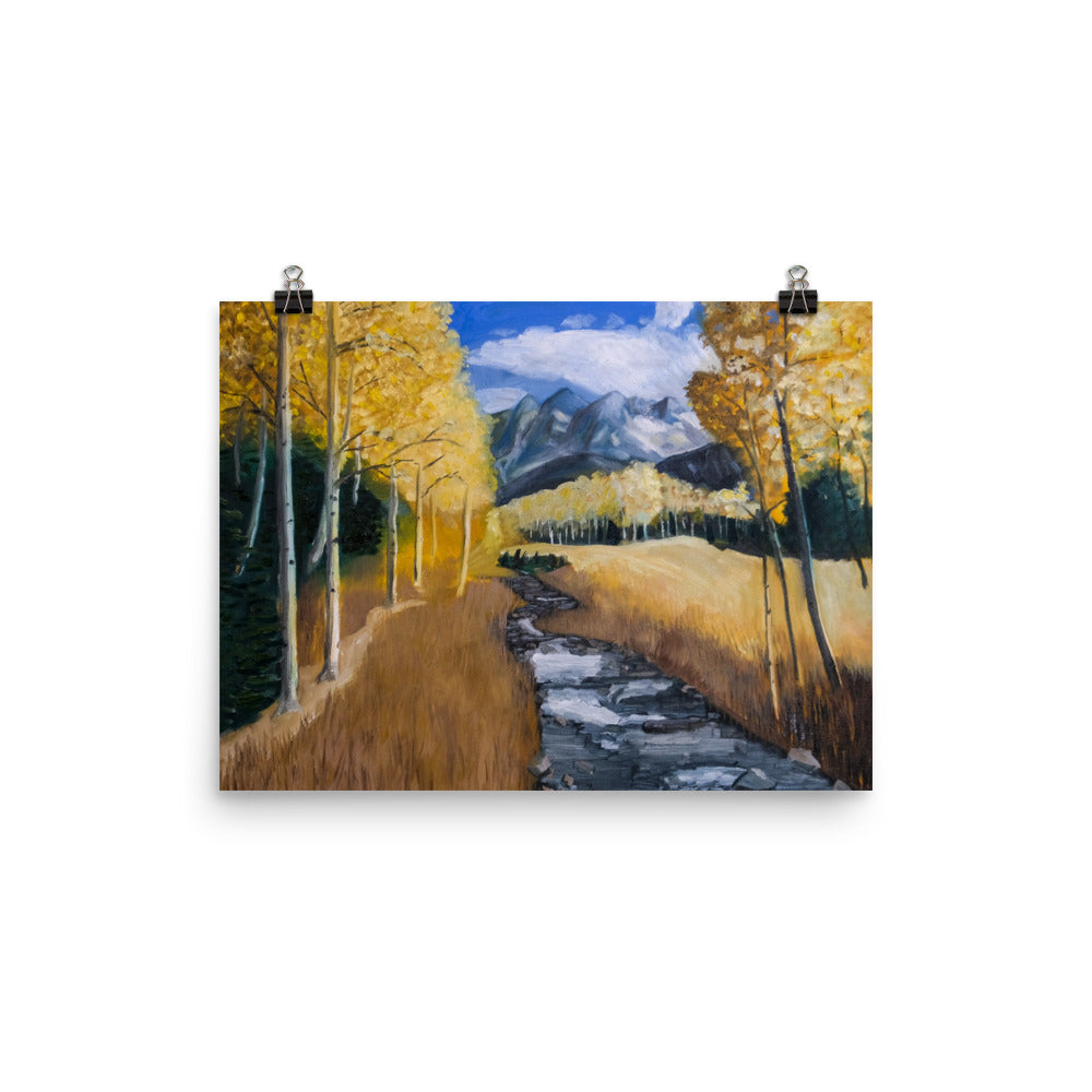 Stream and aspen trees