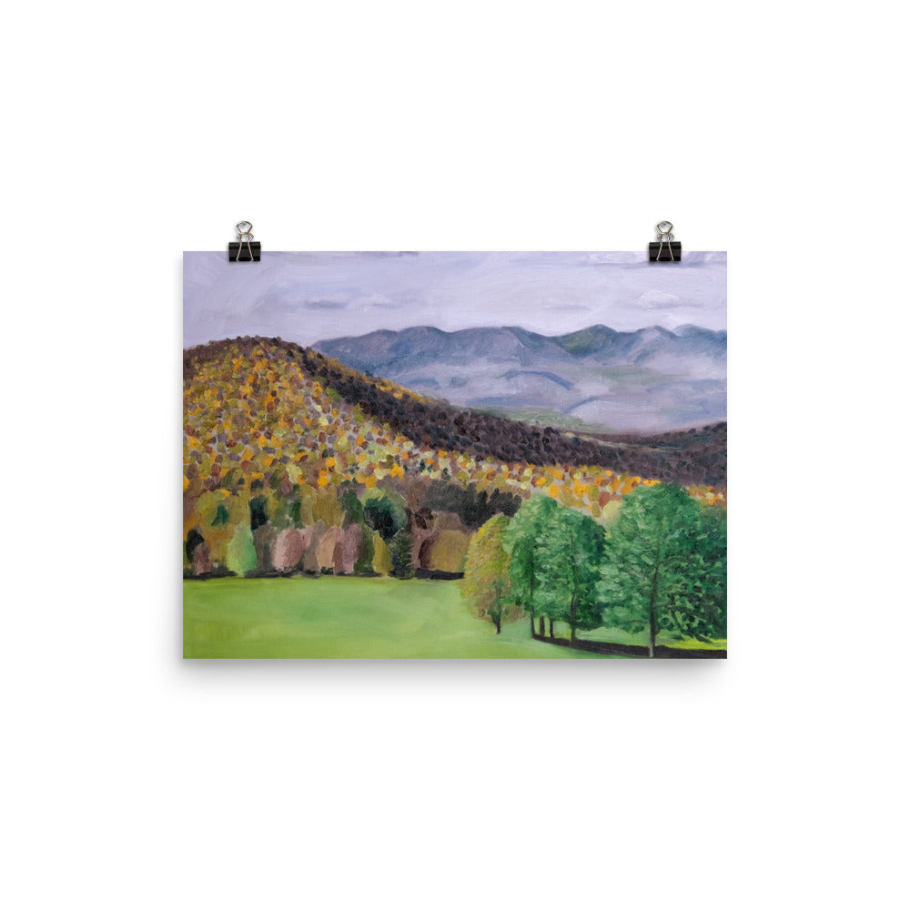 Trees and mountains 1
