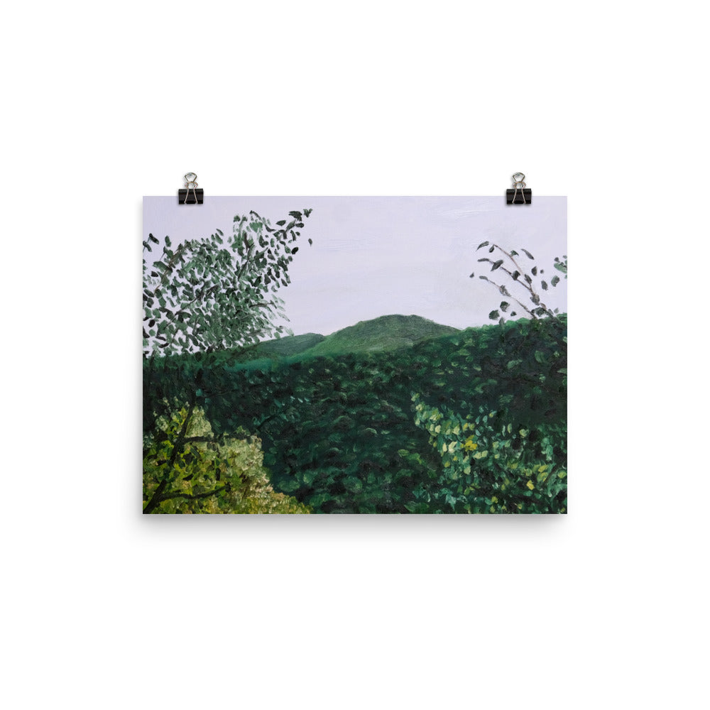 Mountain view