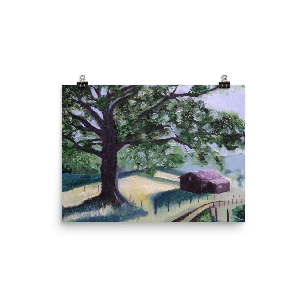 Oak tree and barn